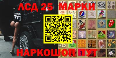 мет Камышлов