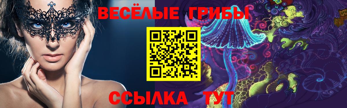 Галлюциногенные грибы Psilocybine cubensis Ухта